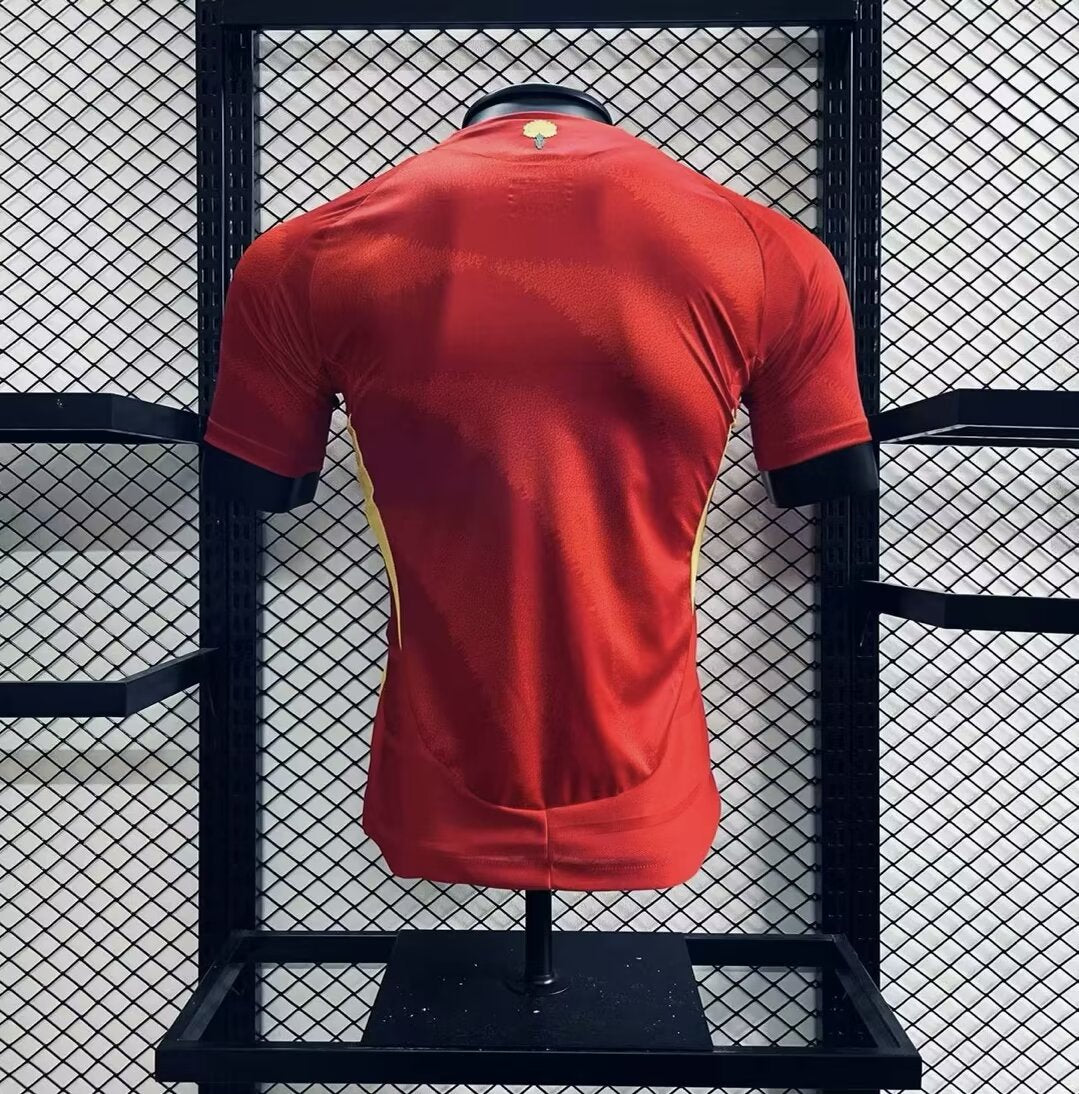 Spain 202425 Euro Home Jersey Player Version