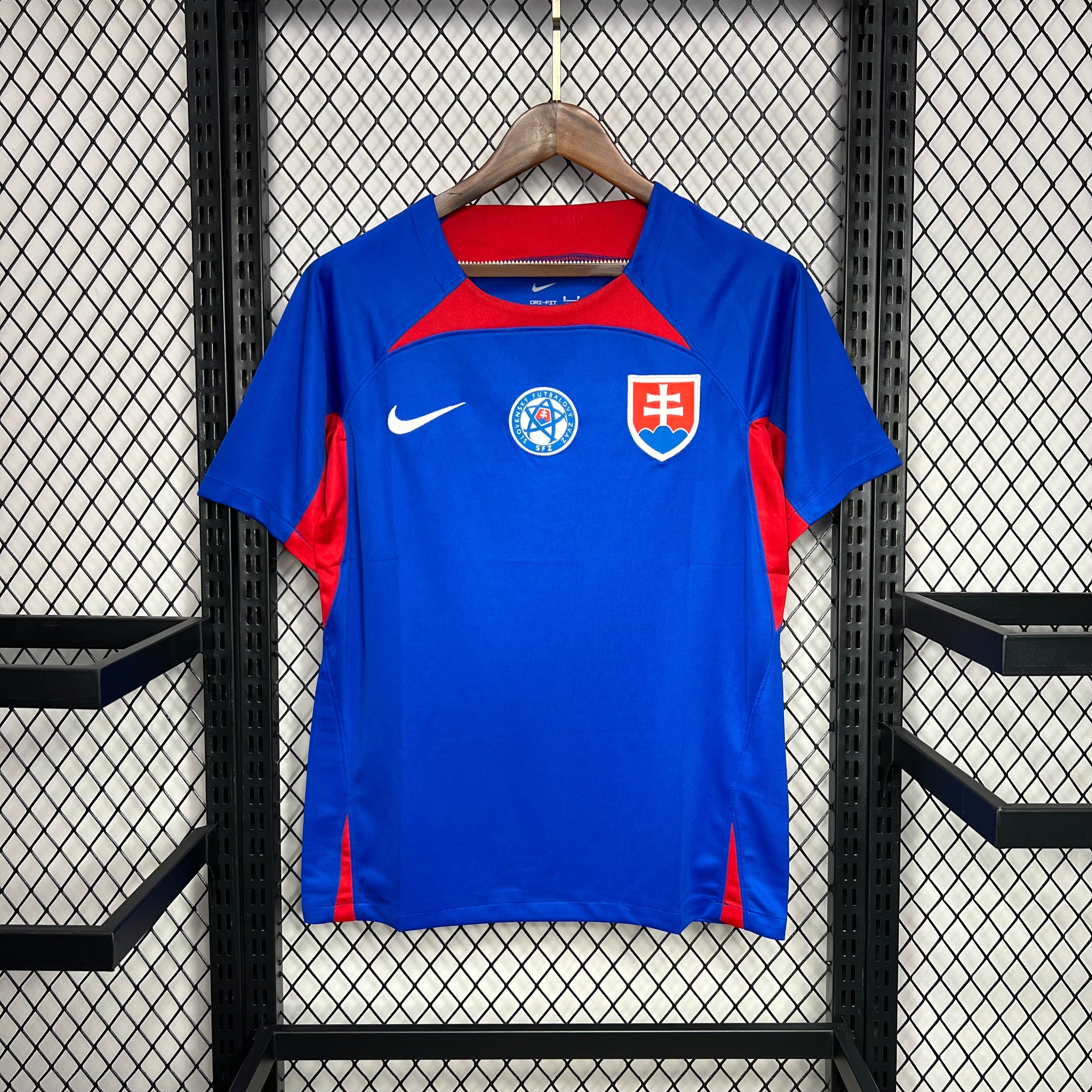 Slovakia 202425 Euro Home Jersey